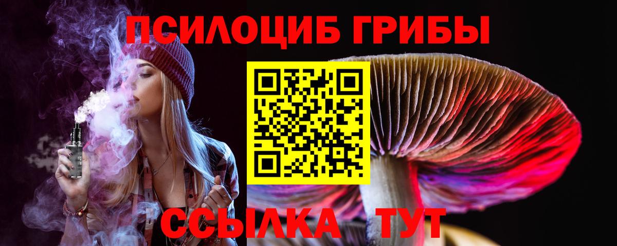 Псилоцибиновые грибы Psilocybine cubensis  Вход с VPN  дарнет шоп  Псилоцибиновые грибы прущие грибы  Касимов 
